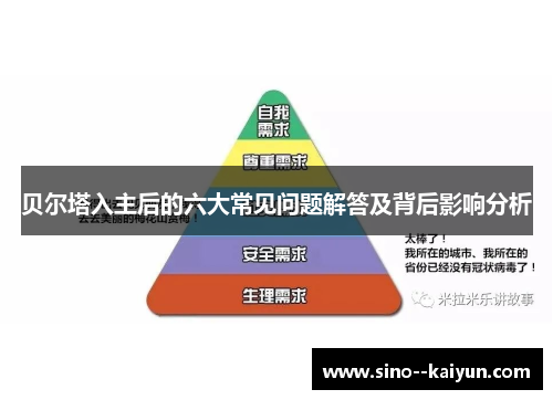 贝尔塔入主后的六大常见问题解答及背后影响分析