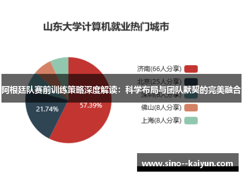 阿根廷队赛前训练策略深度解读：科学布局与团队默契的完美融合