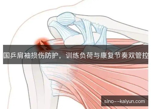 国乒肩袖损伤防护,训练负荷与康复节奏双管控 国乒肩袖损伤防护,训练负荷与康复节奏双管控